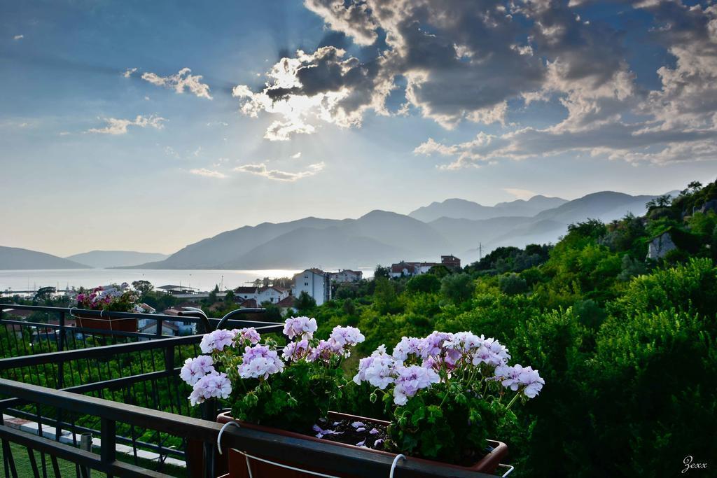 Hostel Anton Tivat Exteriér fotografie